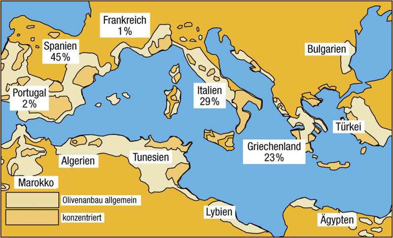 Olivenölqualität und Anbaugebiete – Karte der wichtigsten Erzeugerländer in Europa