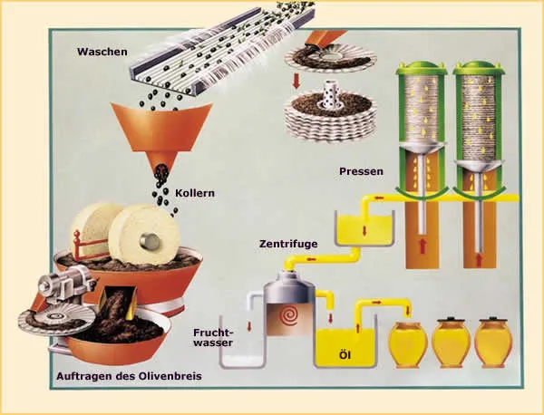 Traditionelle Olivenpresse für die Olivenöl Herstellung